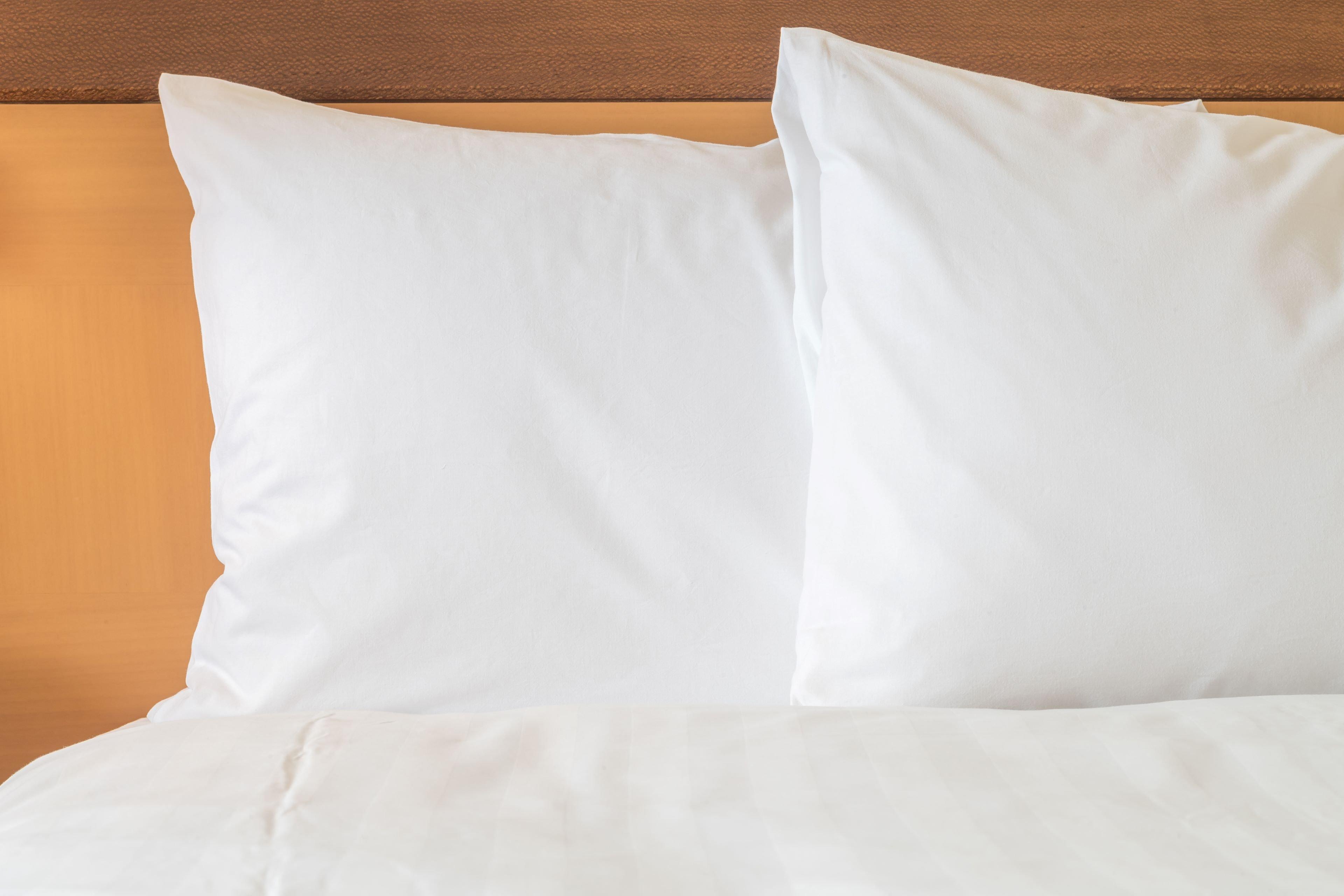 Holiday Inn Express Florence Northeast By Ihg Eksteriør bilde